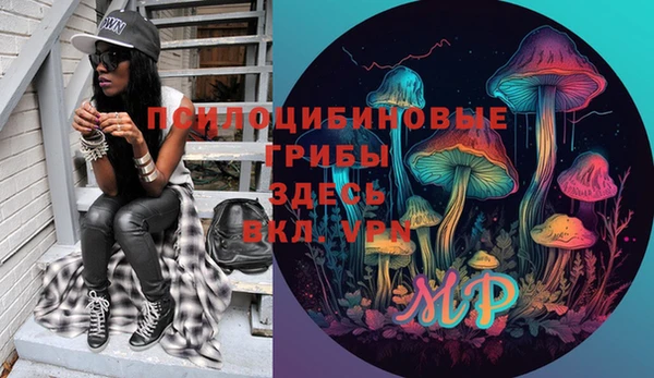 индика Волосово
