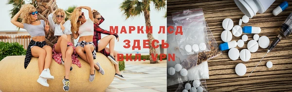 эйфоретик Вяземский
