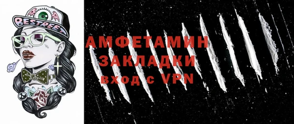шишки Анжеро-Судженск
