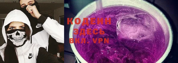 эйфоретик Вяземский