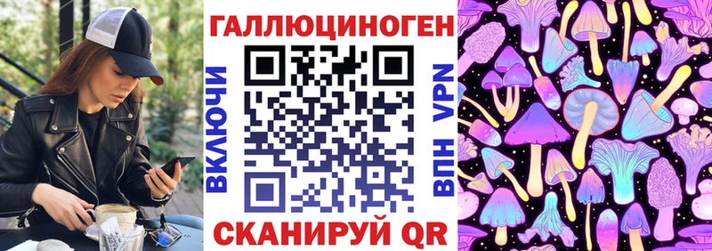 Галлюциногенные грибы Psilocybine cubensis  Инза 